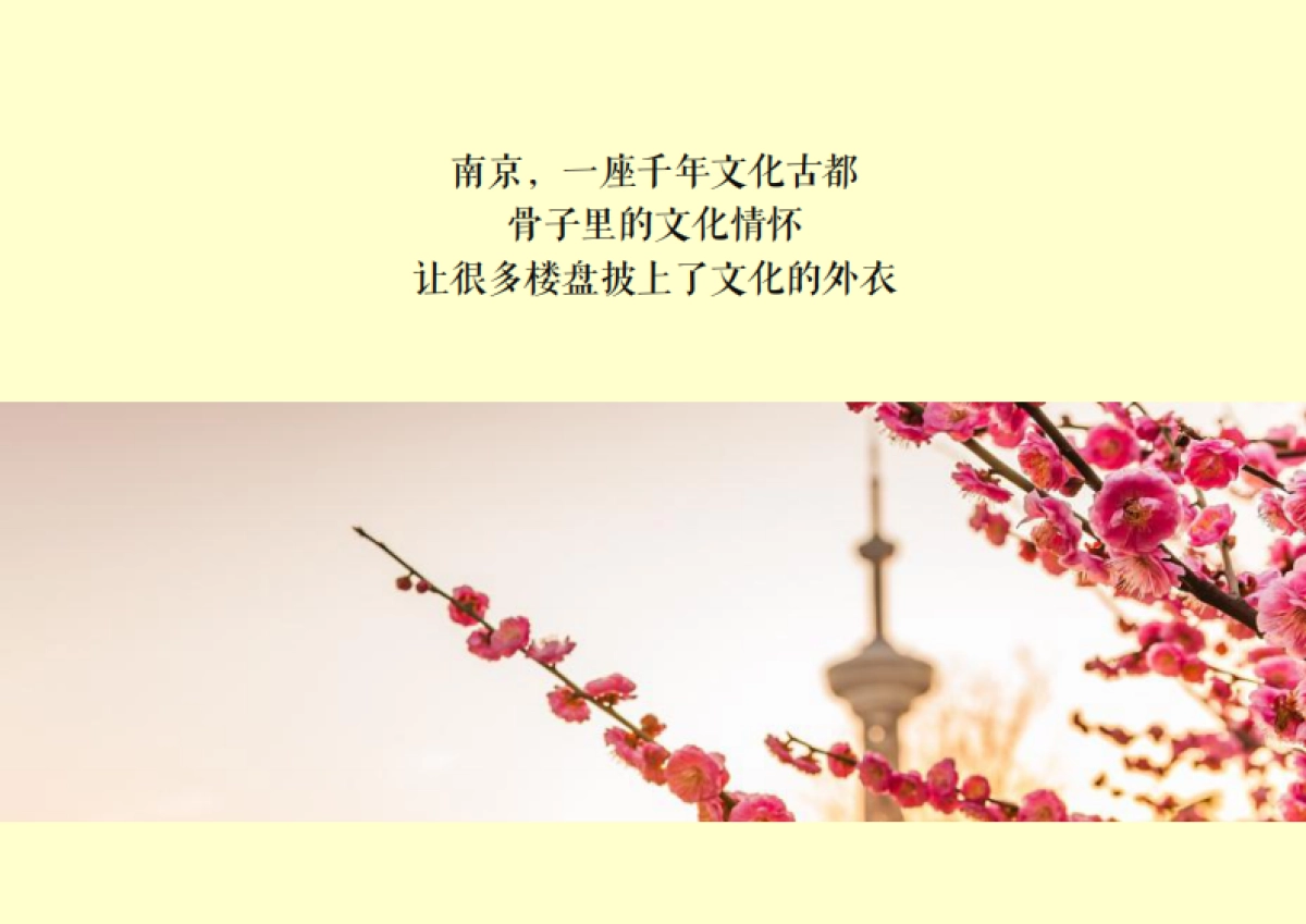 烨明广告-花样年家天下推广传播方案_第3页