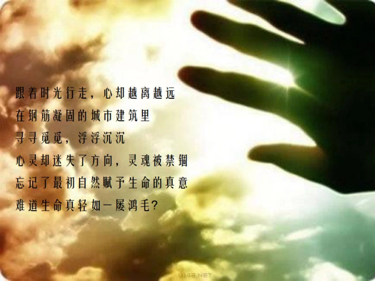 昭阳和牧场-保利南昆生态城传播方案_第3页