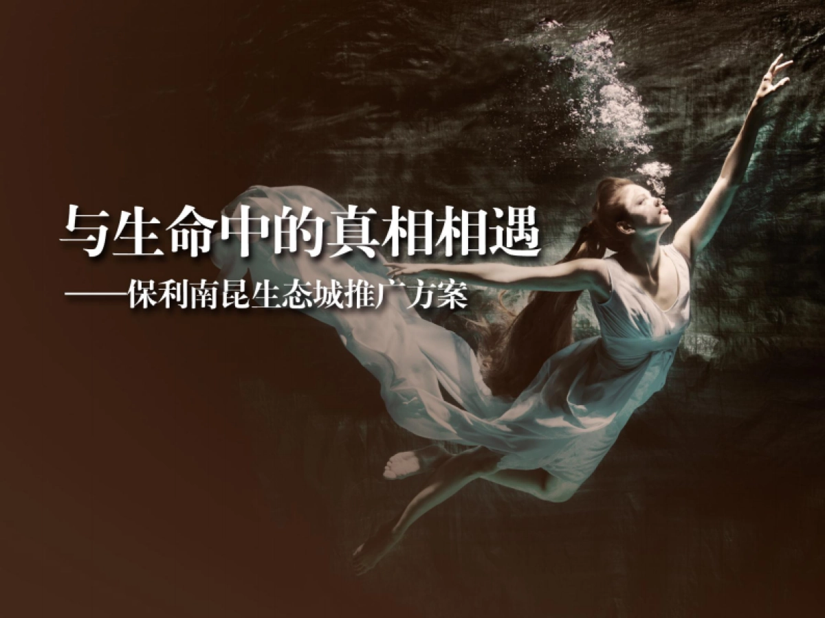 昭阳和牧场-保利南昆生态城传播方案_第4页