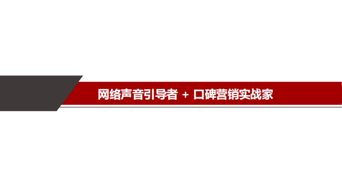 正点未来DS口碑传播方案（中文版）_第8页