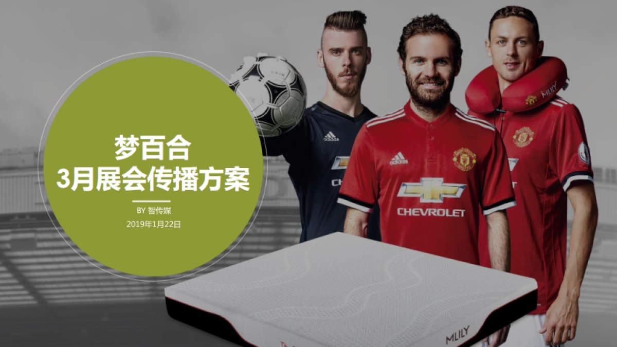 智传媒-梦百合3月展会传播方案_第1页