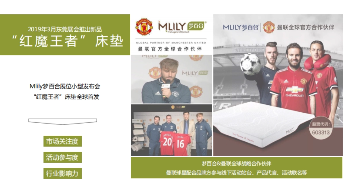 智传媒-梦百合3月展会传播方案_第2页