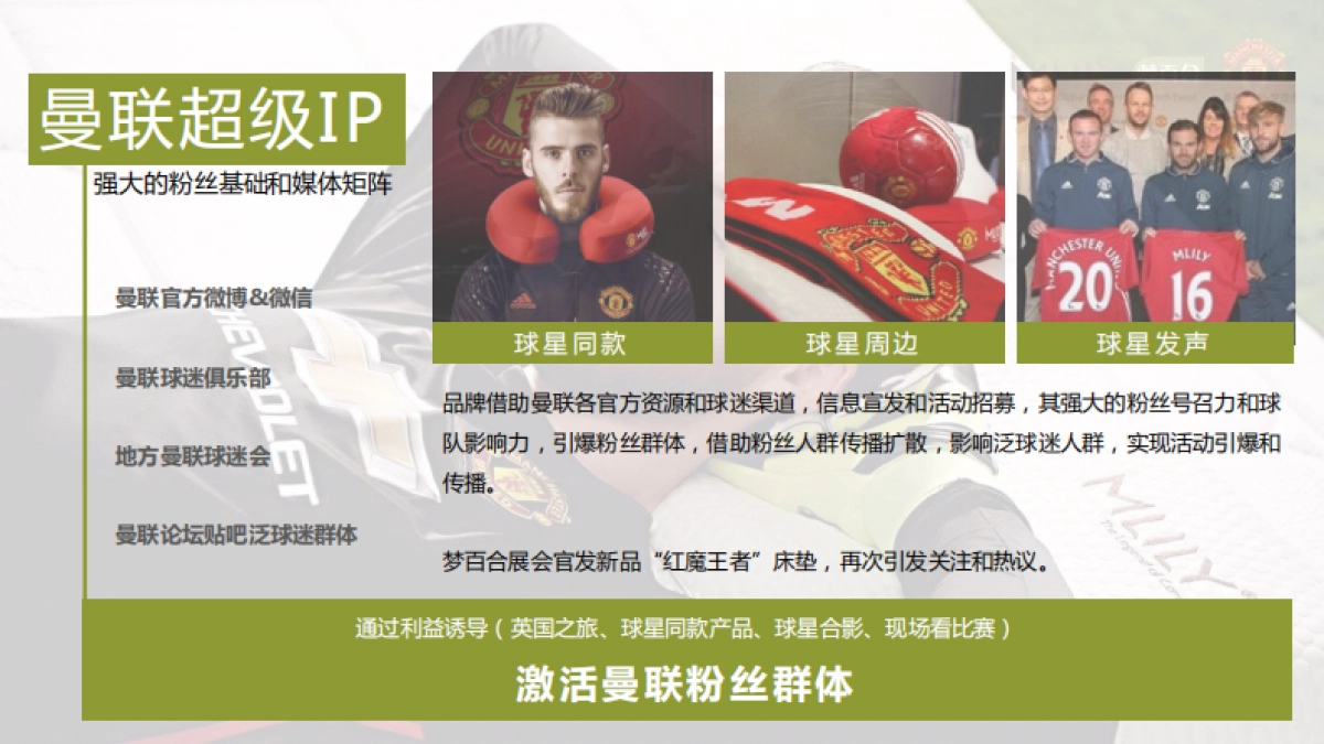 智传媒-梦百合3月展会传播方案_第3页