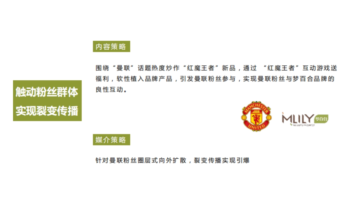 智传媒-梦百合3月展会传播方案_第5页