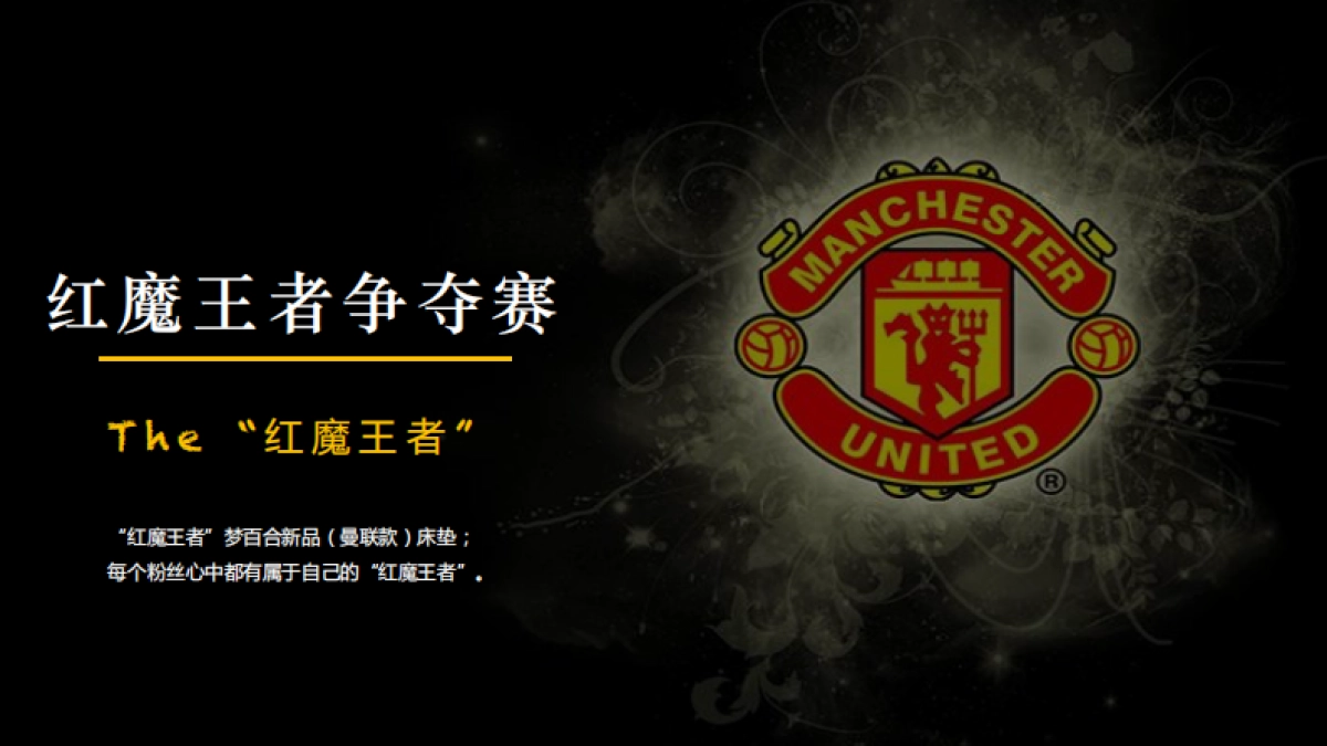 智传媒-梦百合3月展会传播方案_第6页