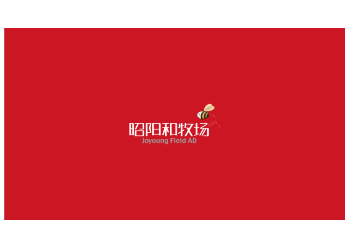 中国美林湖2019双年整合推广策略案_第1页