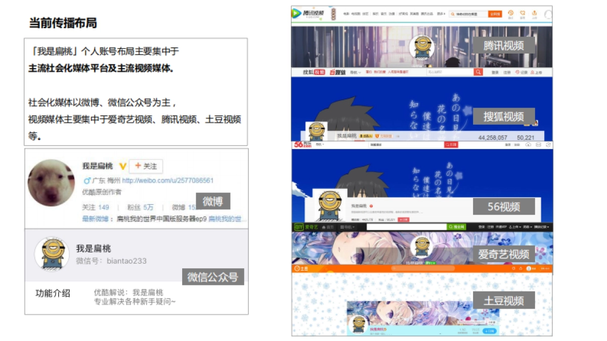 主播「我是扁桃」社会化媒体传播建议_第4页