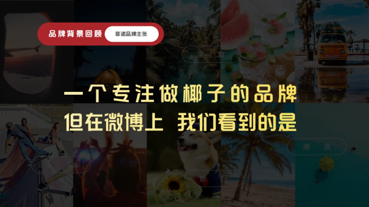 诺椰子水微博传播方案_第10页