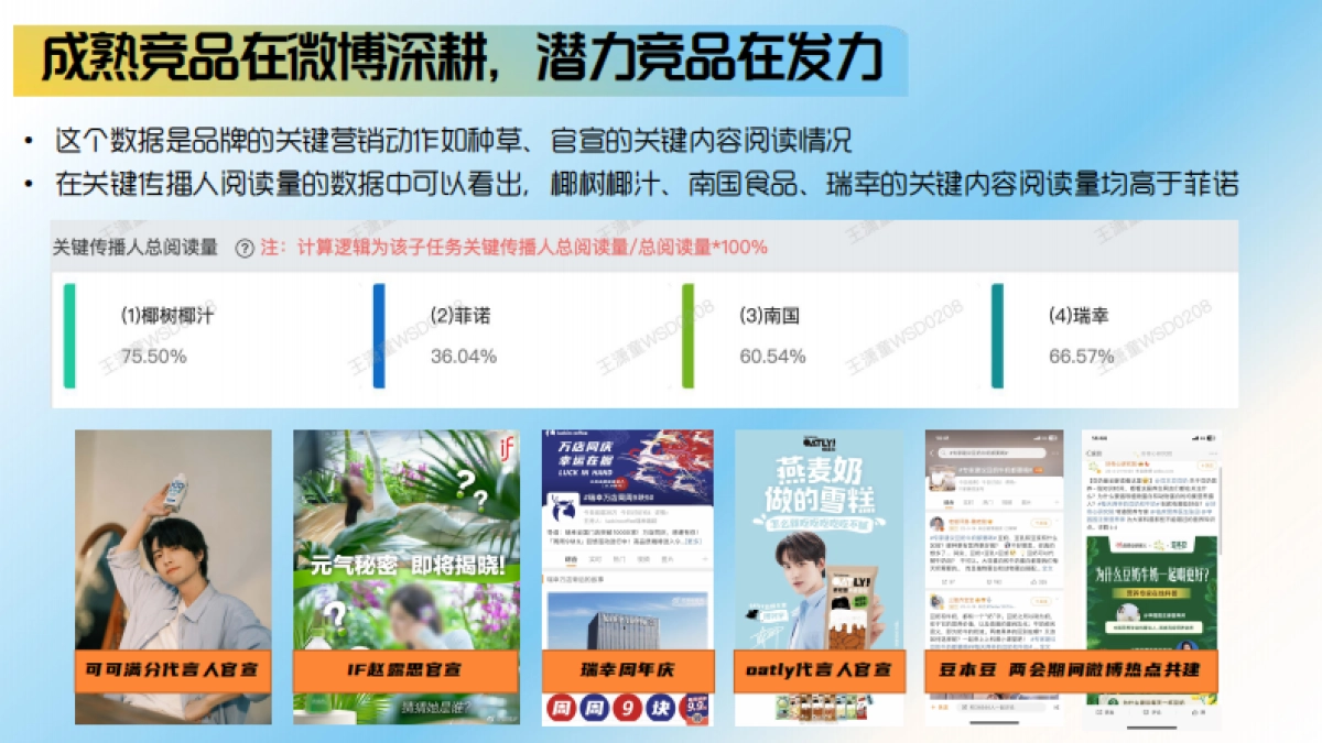 诺椰子水微博传播方案_第6页