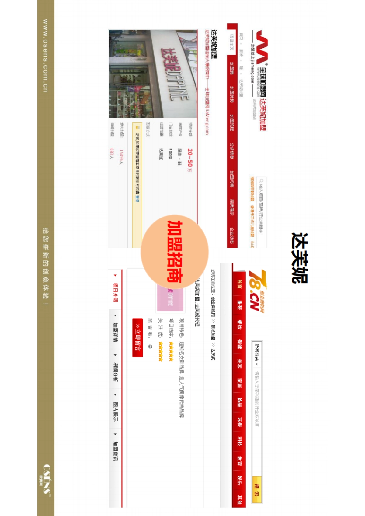 欧赛斯达芙妮百丽品牌女鞋网络整合推广数字营销策划提案_第4页