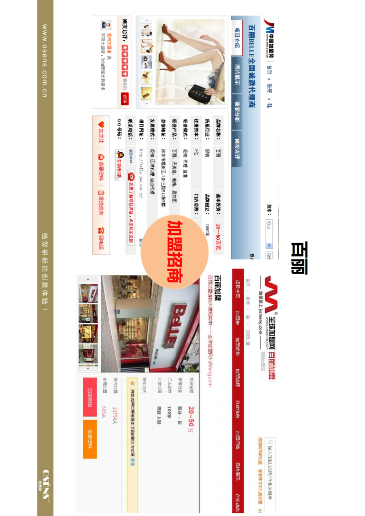 欧赛斯达芙妮百丽品牌女鞋网络整合推广数字营销策划提案_第9页