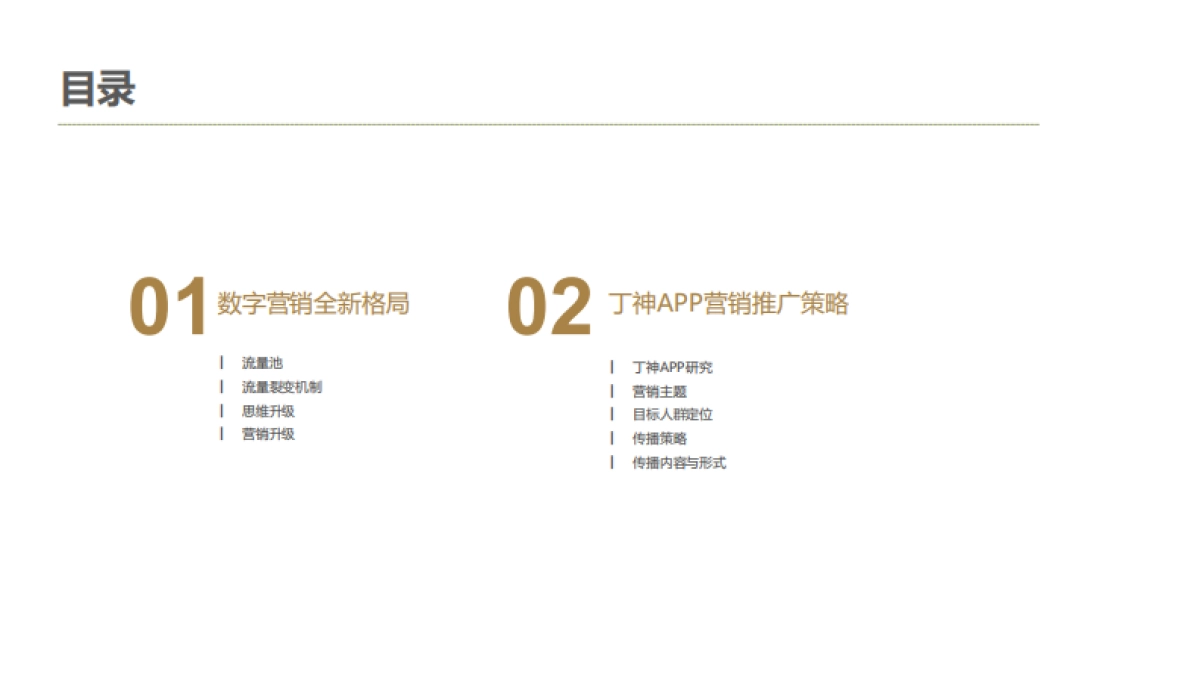 欧赛斯丁神APP数字营销推广方案_第3页