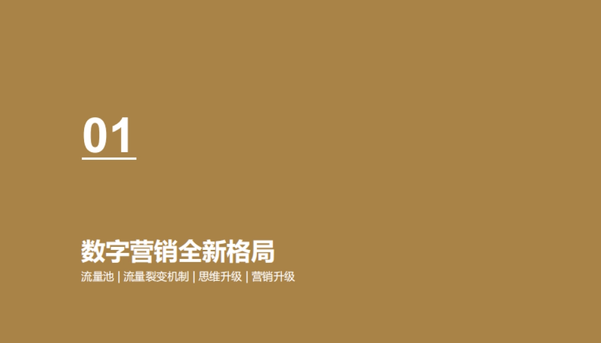 欧赛斯丁神APP数字营销推广方案_第4页