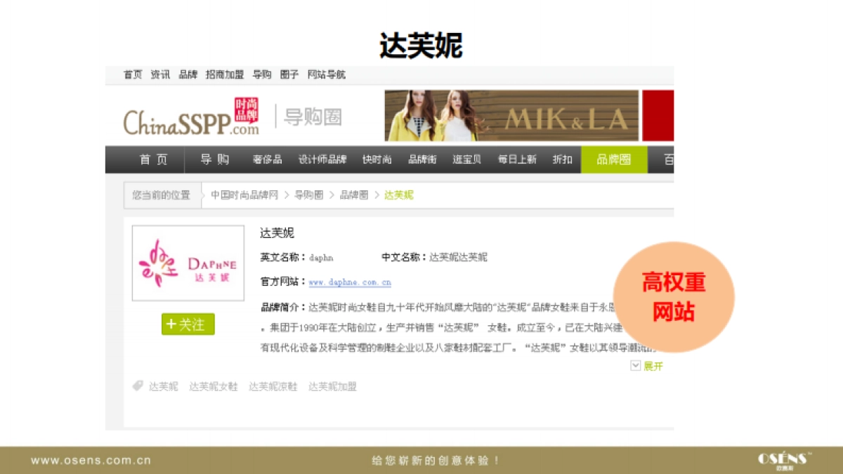 欧赛斯依思Q品牌女鞋网络整合推广数字营销计划提案_第7页