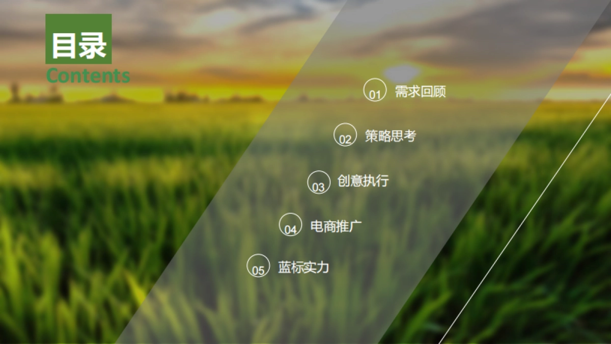 屈臣氏蒸馏水半年度传播方案(策划+部分执行)_第2页