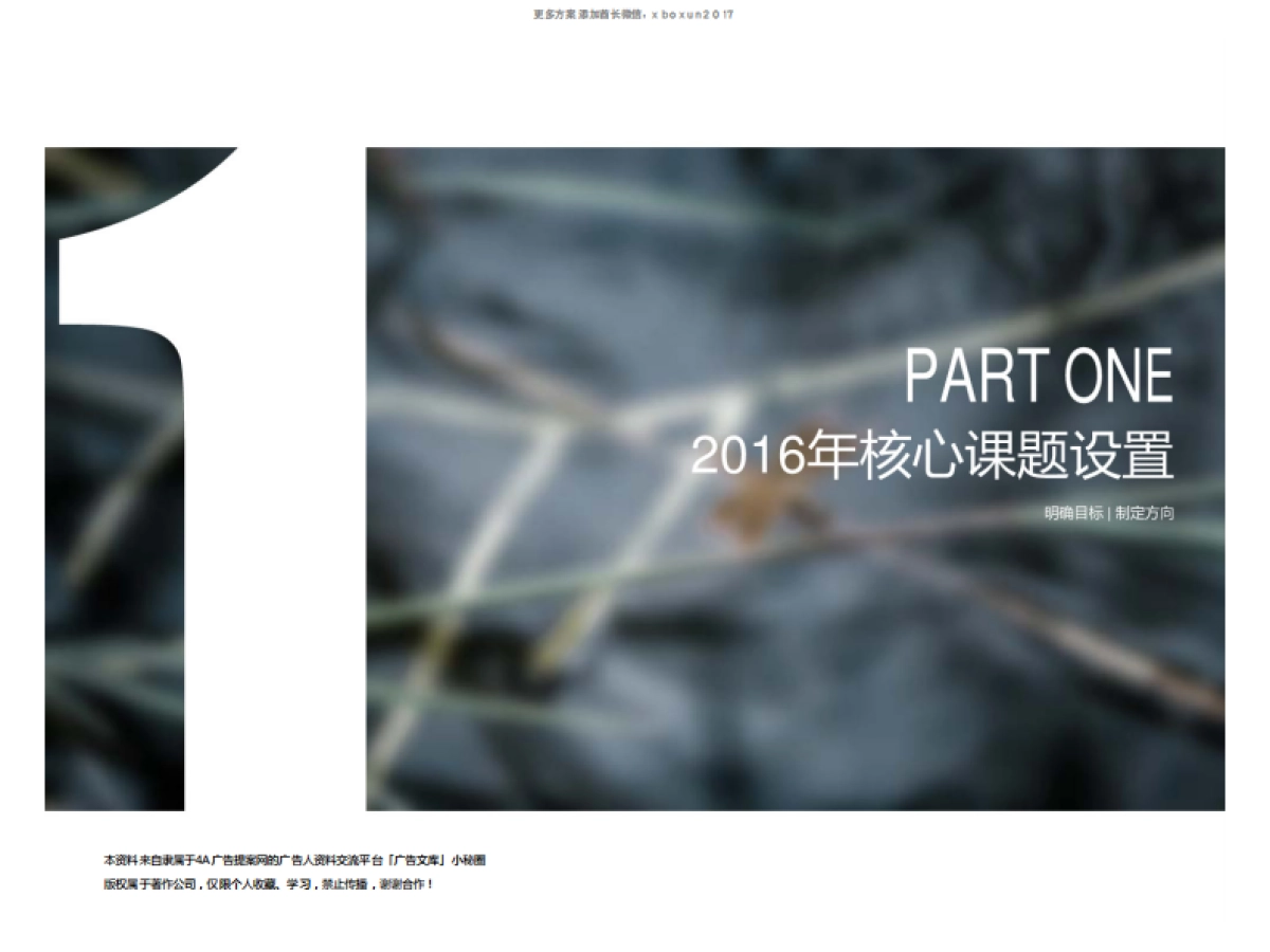 雀巢NPP传播策略计划方案_第2页