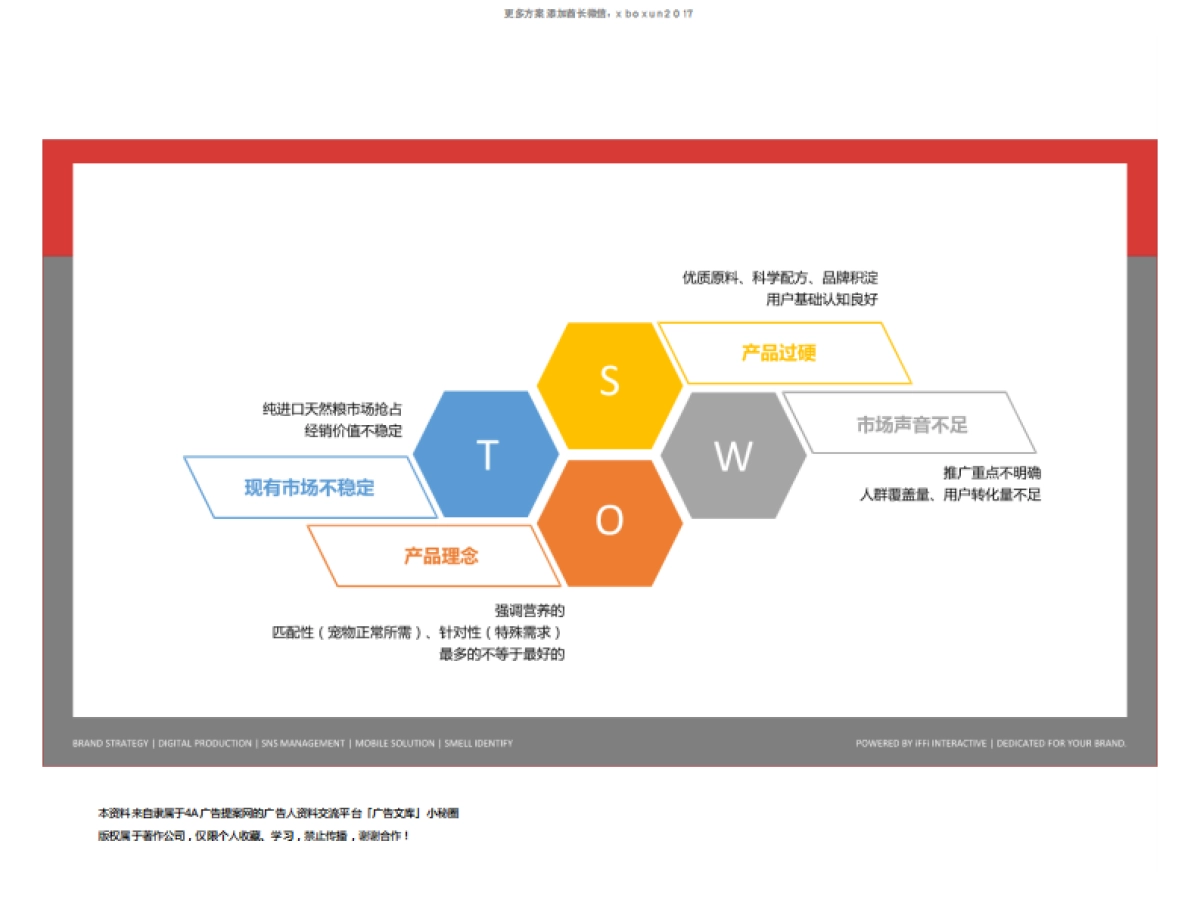 雀巢NPP传播策略计划方案_第6页