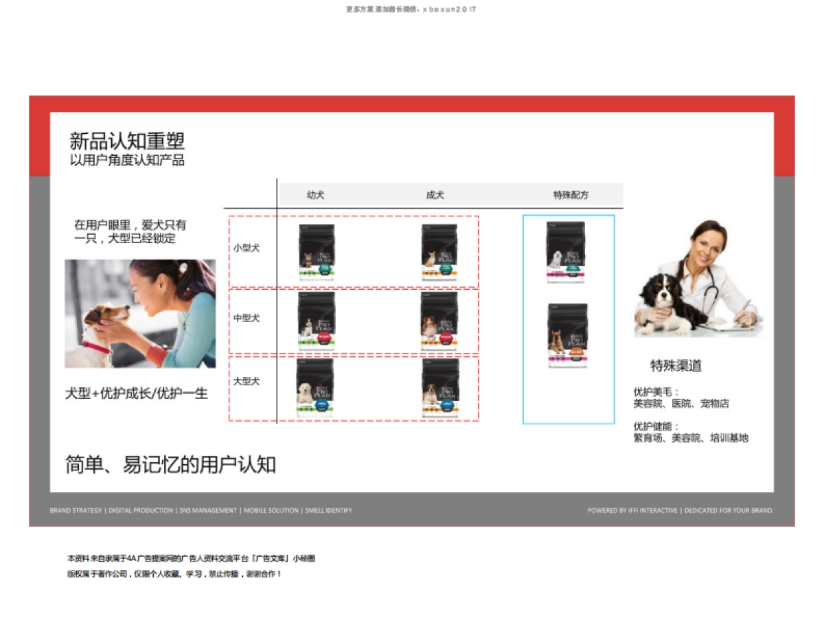 雀巢NPP传播策略计划方案_第7页