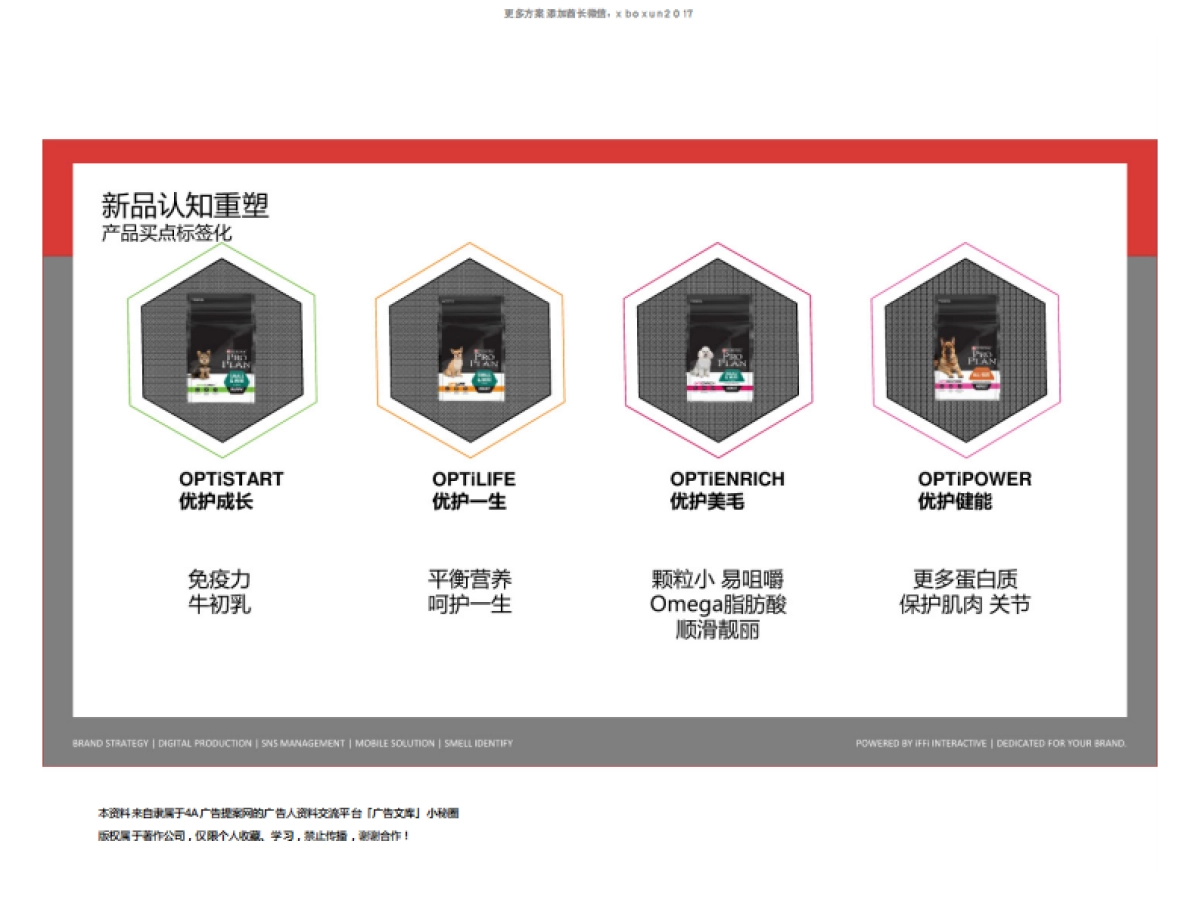 雀巢NPP传播策略计划方案_第8页