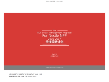 雀巢NPP传播策略计划方案