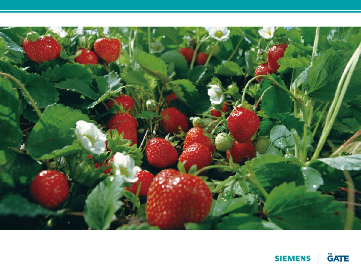 西门子三门冰箱视频脚本2nd_第4页