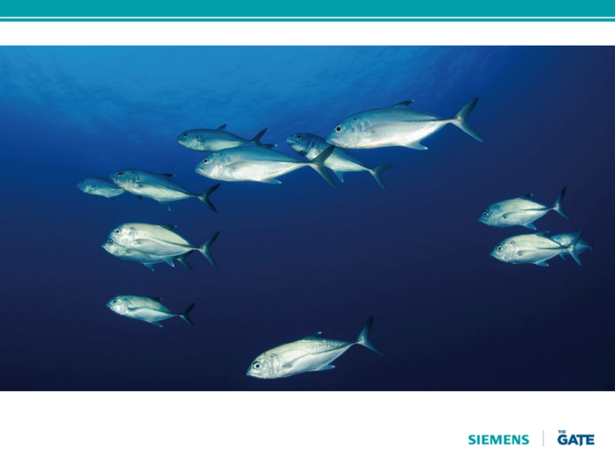 西门子三门冰箱视频脚本2nd_第6页