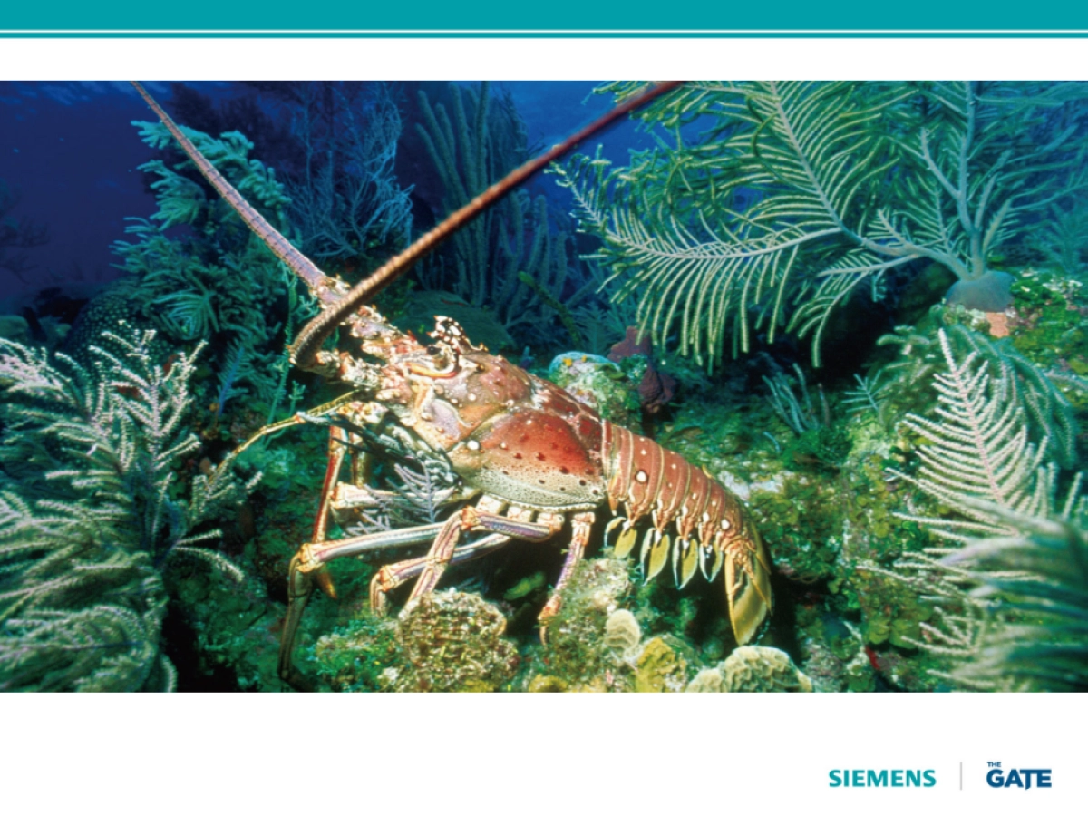 西门子三门冰箱视频脚本2nd_第8页