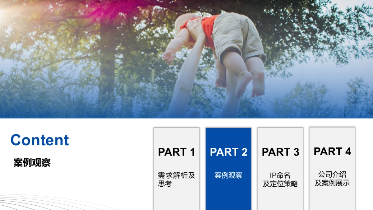 2023飞鹤奶粉京东+小红书科学种草方案_第7页