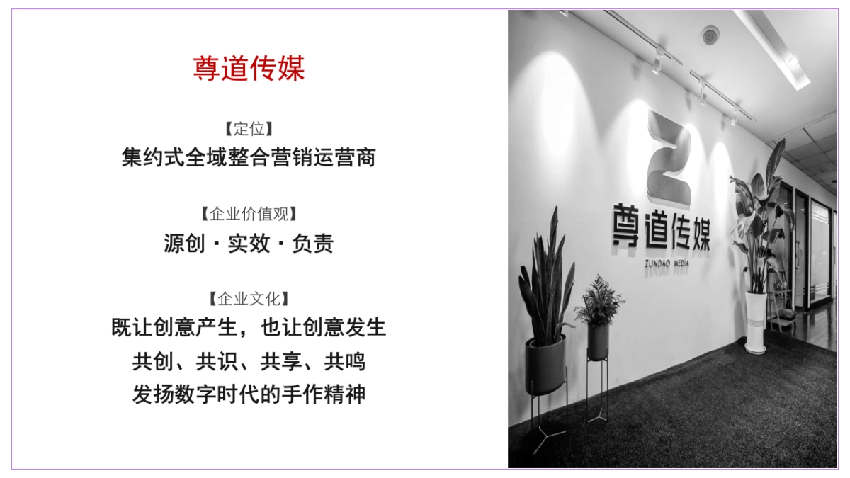 海尔生活家电618电商营销传播方案_第10页