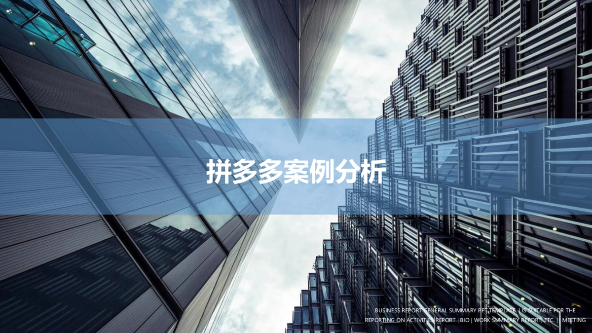 拼多多电子商务营销案例分析_第1页