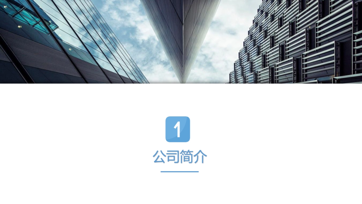 拼多多电子商务营销案例分析_第5页