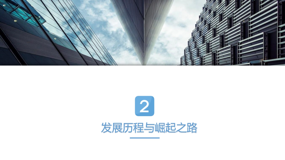 拼多多电子商务营销案例分析_第8页