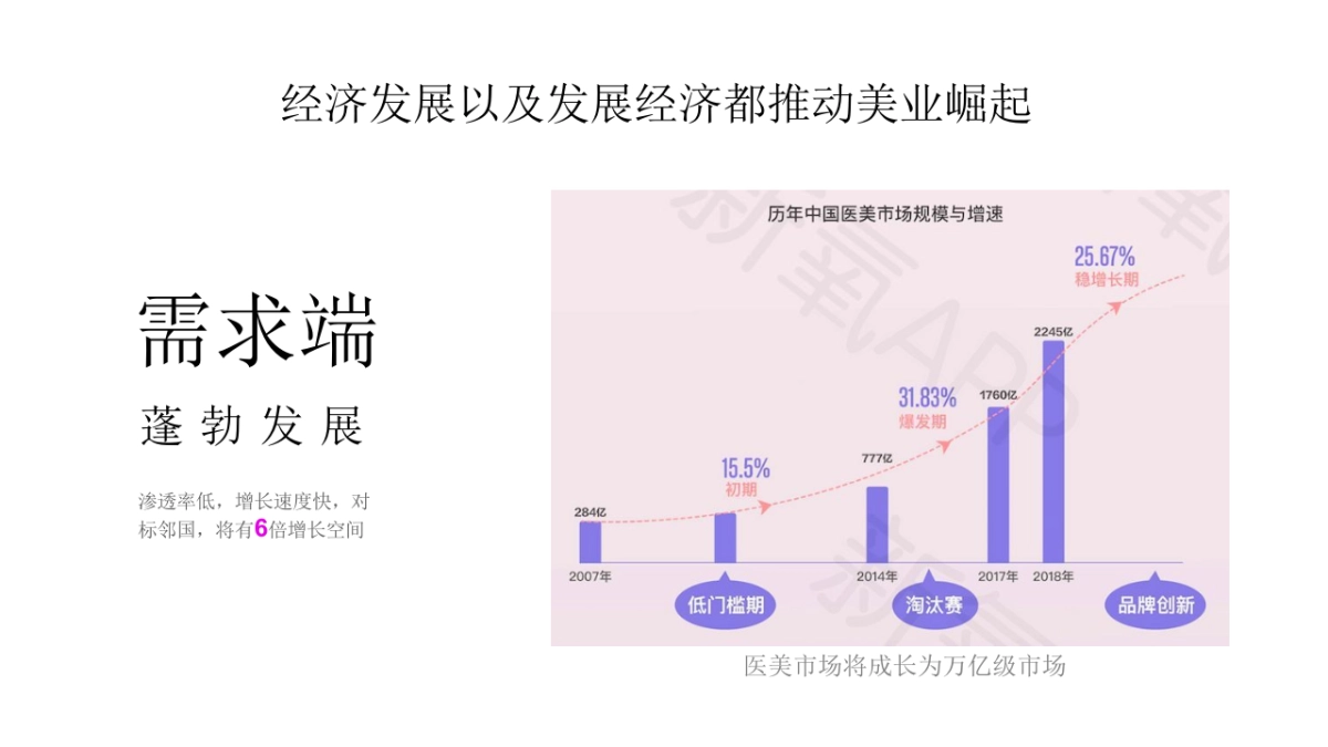 网红电商医美行业运营推广方案_第5页