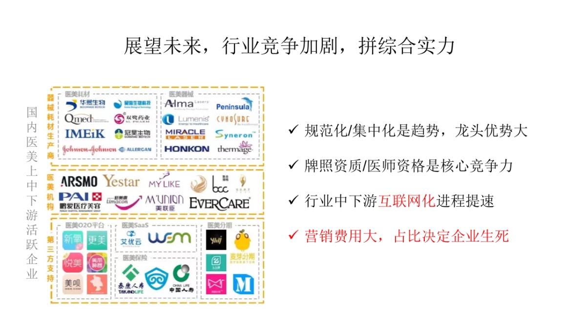 网红电商医美行业运营推广方案_第6页