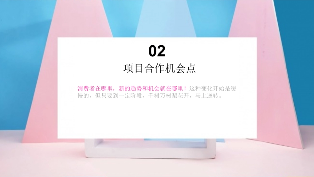 网红电商医美行业运营推广方案_第7页