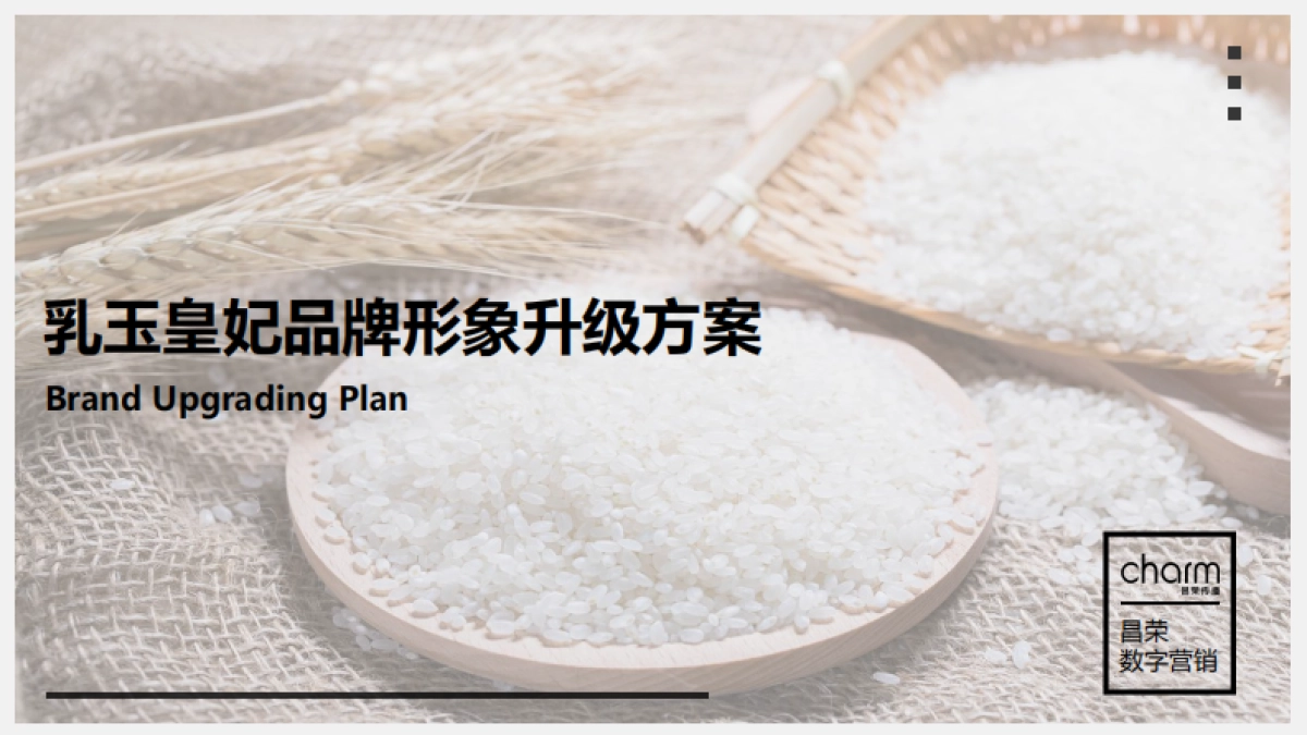 乳玉皇妃大米电商推广提案_第1页