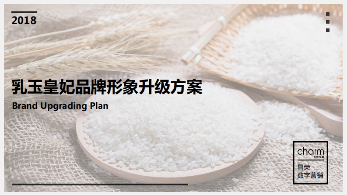 乳玉皇妃电商推广提案_第1页