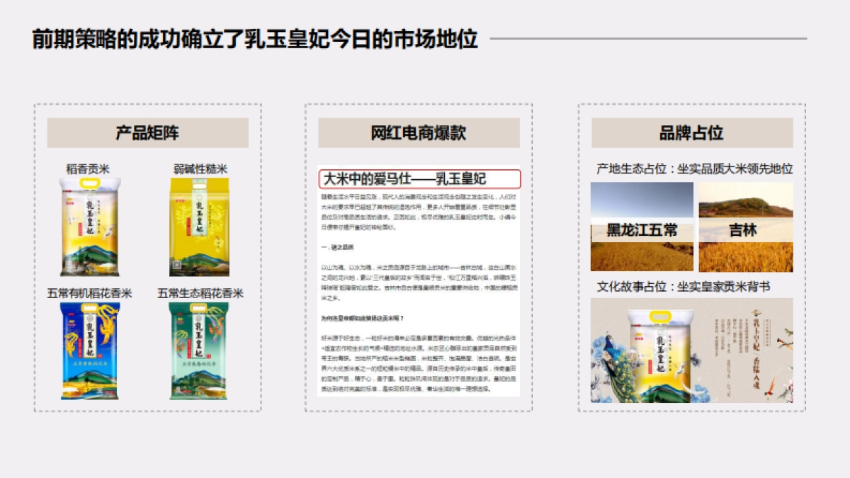 乳玉皇妃电商推广提案_第3页