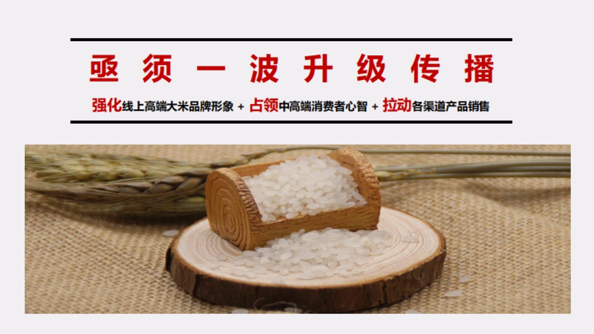 乳玉皇妃电商推广提案_第5页