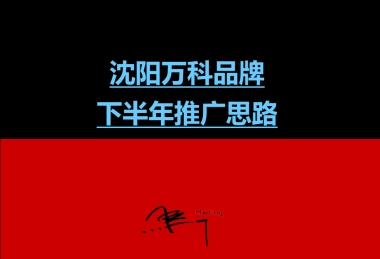 深圳马一丁-沈阳万科品牌下半年推广提案