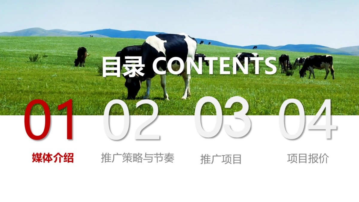 【PCbaby】澳牧品牌推广方案_第2页