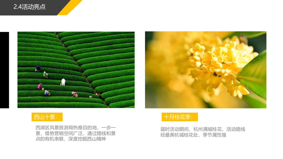 2018杭州西山国际登山节活动策划案_第10页