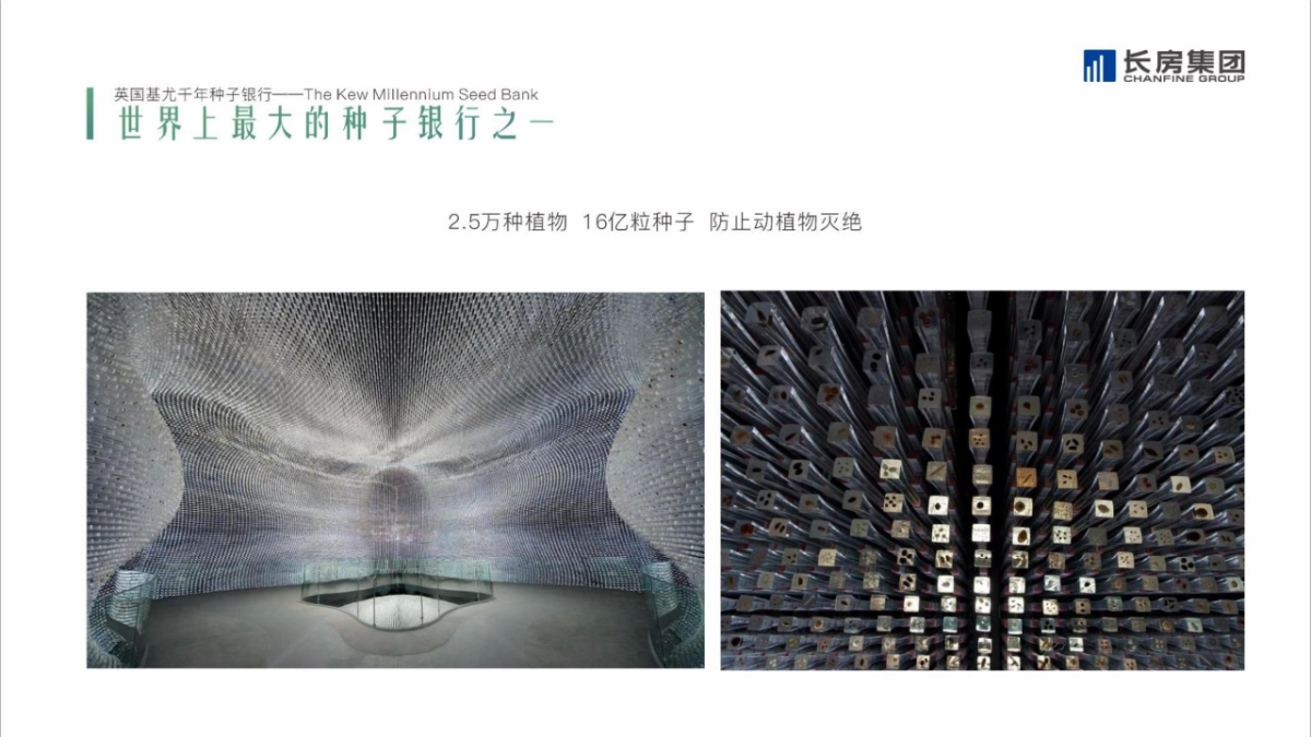 2020长房集团品牌整合推广_第10页