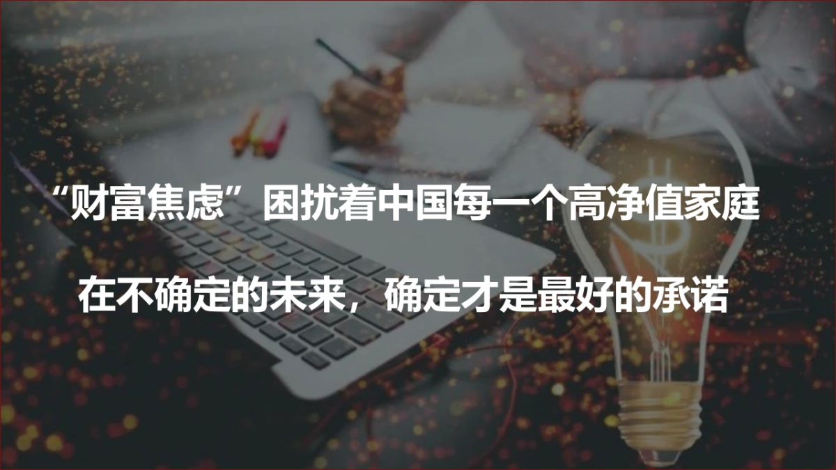 2021年保险行业高净值品牌策划方案_第3页