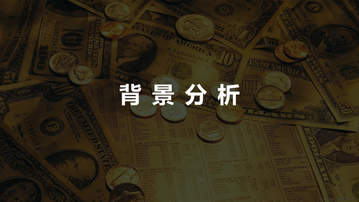 2021年保险行业高净值品牌策划方案_第4页