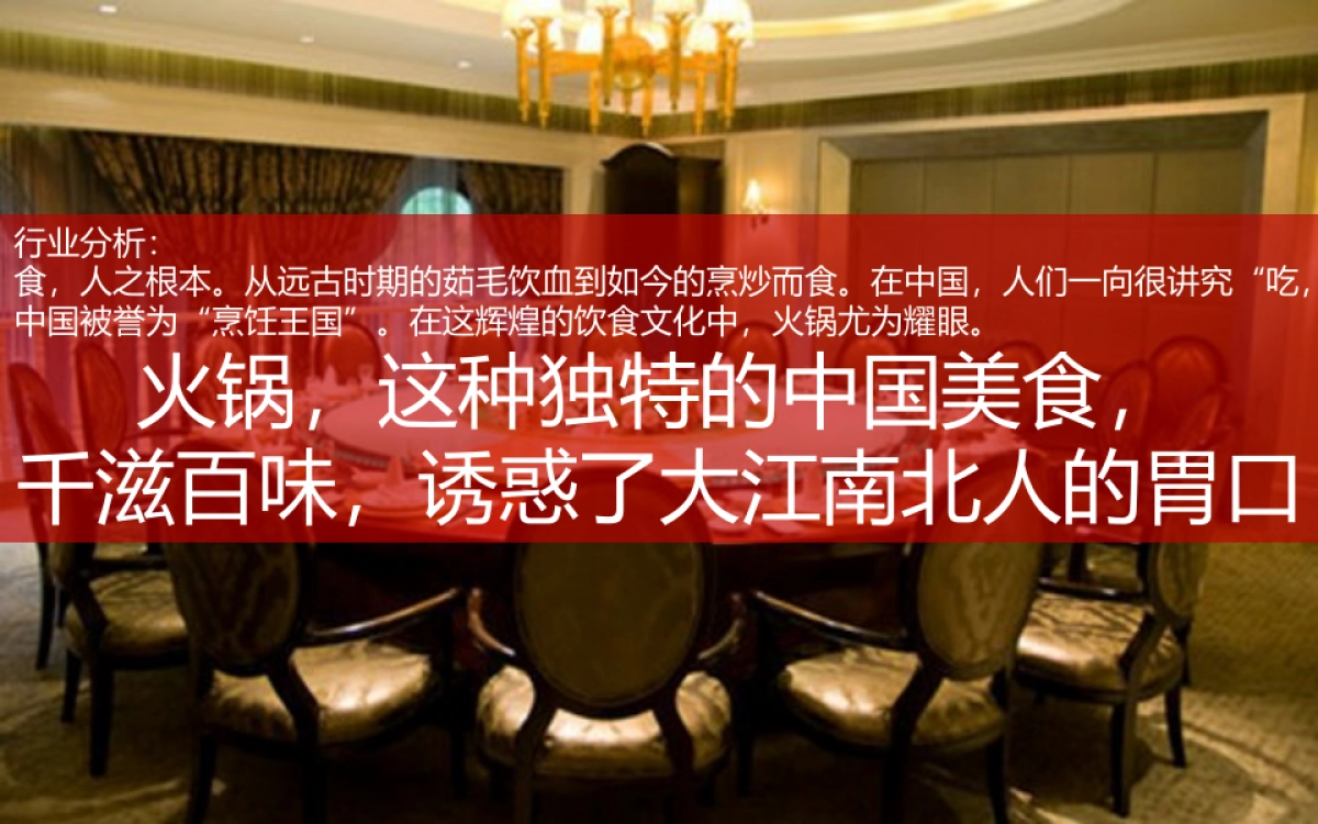 2021新辣道品牌策略建议_第4页