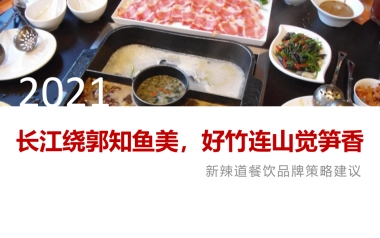 2021新辣道品牌策略建议