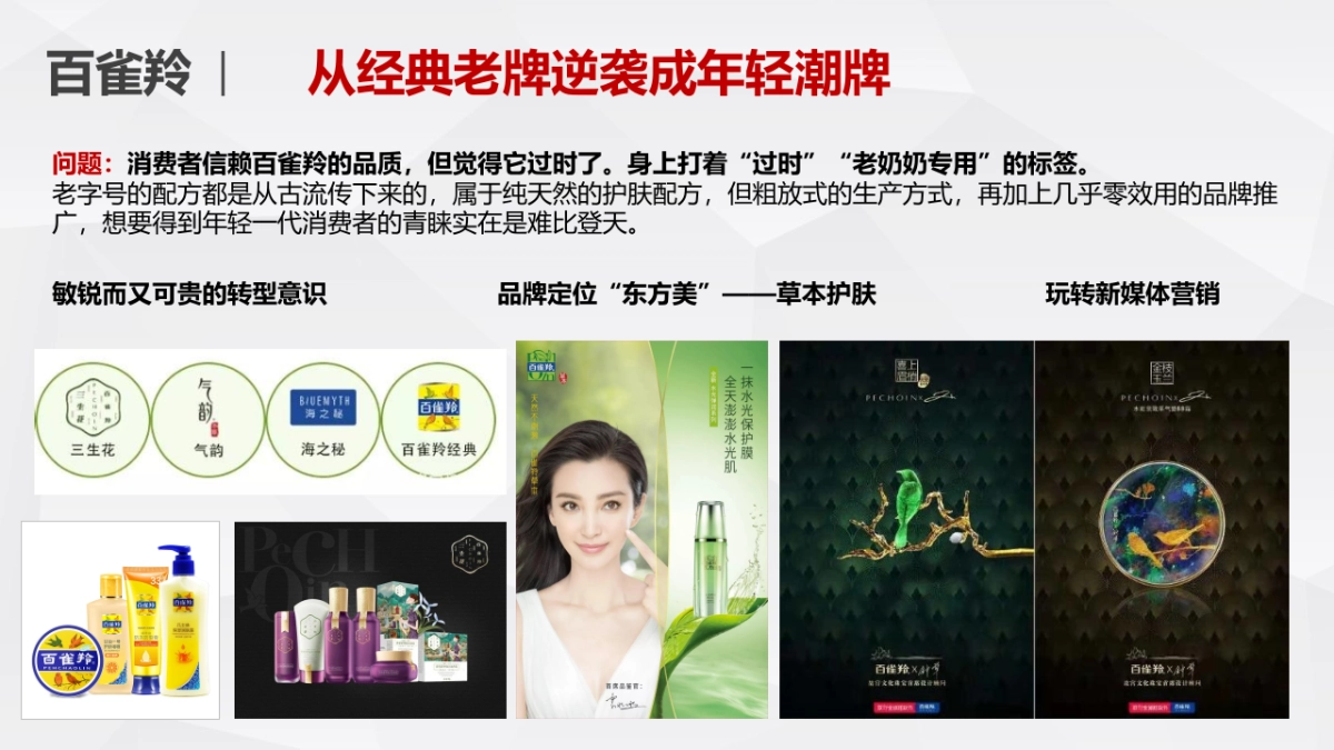 百年食品品牌升级整合营销方案_第10页