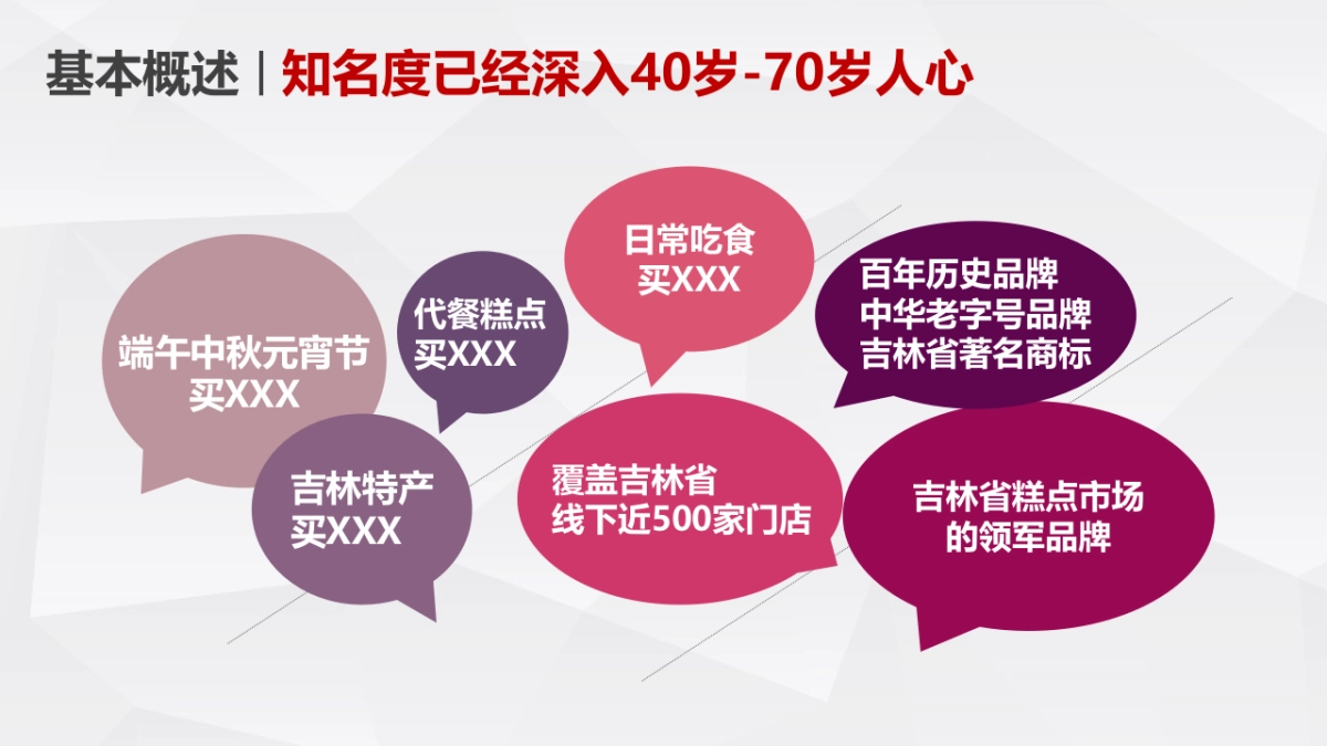 百年食品品牌升级整合营销方案_第4页