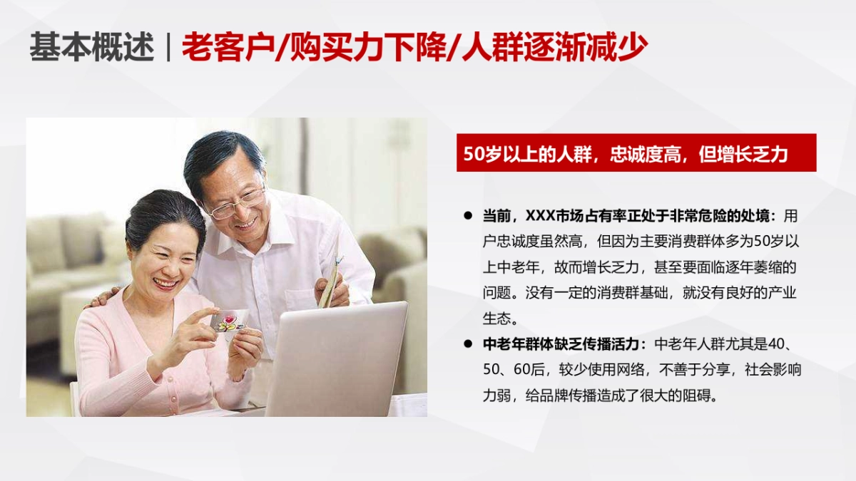 百年食品品牌升级整合营销方案_第5页